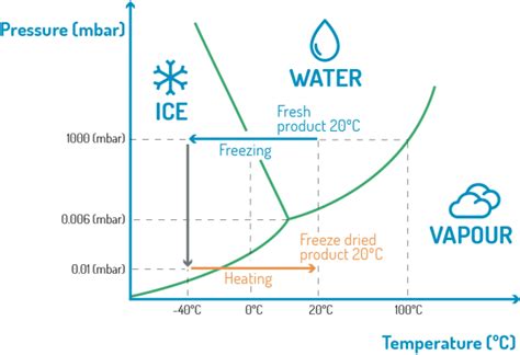 About freeze drying | Freeze drying process