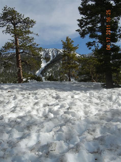 ...snow tubing at Mount Charleston in Las Vegas, NV | Mount charleston ...