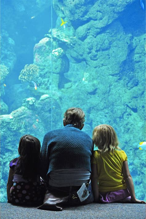 Fun Places for Kids | 30+ Local and Nationwide Crowd-Pleasers