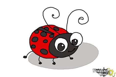 How to Draw a Ladybug For Kids - DrawingNow