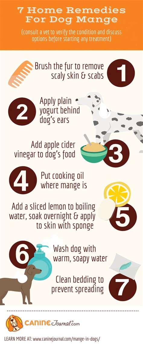 What Is Mange In Dogs? Treatment, Home Remedies, What Does It Look Like ...