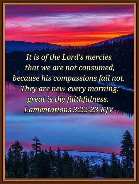 Lamentations 3:22-23 Healing Words, Words Of Jesus, Word Of God, Bible ...