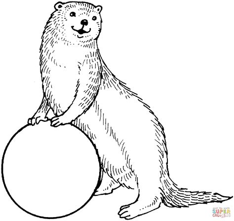 otter coloring page - Google Search Nutria De Mar, Páginas Para ...