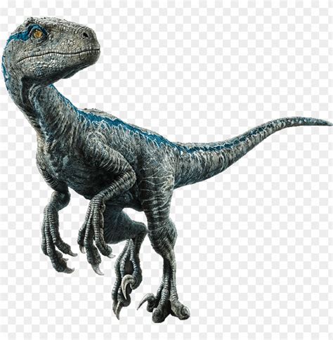 velociraptor - jurassic world el reino caído dinosaurios PNG image with ...