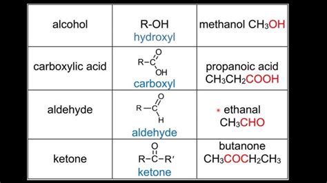 Ester Functional Group Examples