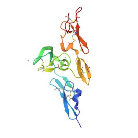 RCSB PDB - 2W86: Crystal structure of fibrillin-1 domains ...