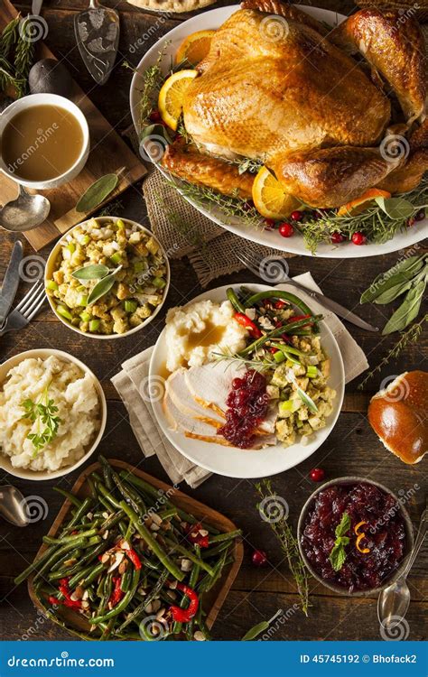 Homemade Thanksgiving Turkey on a Plate Stock Photo - Image of fruits ...