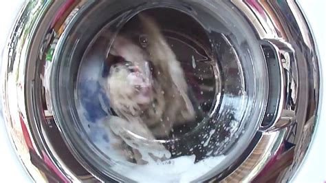 washing machine spinning - YouTube