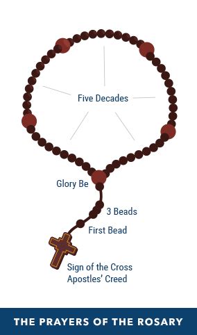 How to Pray the Rosary | USCCB