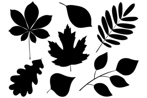 Leaves Silhouette. Autumn Leaves Vector (Graphic) by shishkovaiv ...