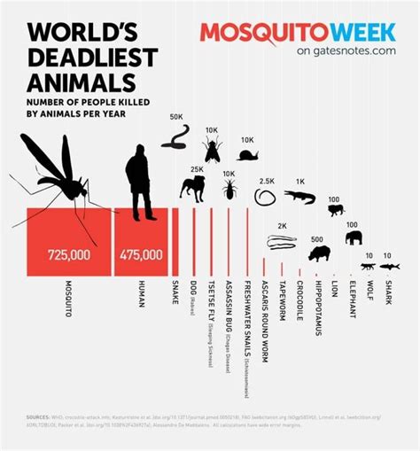 An infographic from Bill Gates on the deadliest animals in the world ...