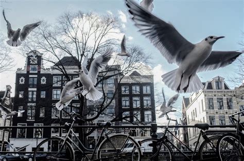 Amsterdam (Fuji XT20, 18-55) : r/fujix