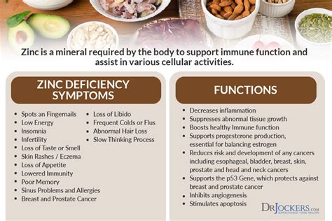 15 Zinc Deficiency Symptoms and Best Food Sources DrJockers com