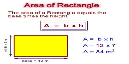 How to find the Area of a Rectangle? - Assignment Point