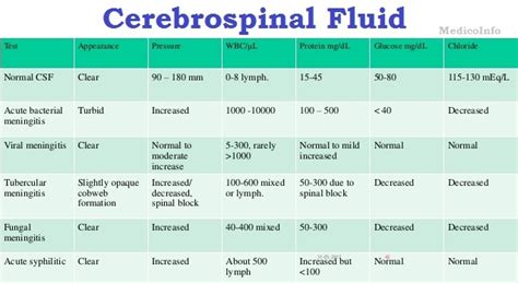 Cerebrospinal Fluid (CSF) : Significance, Function, Collection, Patient ...