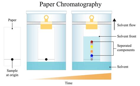 Paper Chromatography - Solution Parmacy