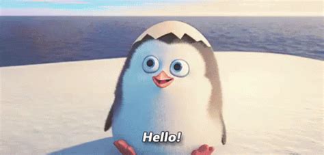 Just Sayin' Hi GIF - Penguin Hello Hi - Discover & Share GIFs