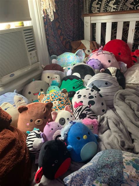 A bed of Squishmallows in 2021 | Cute squishies, Kawaii room, Animal ...