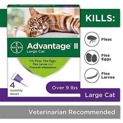 Flea Prevention Cats, over 9 lbs, 4 doses Best ⋆ PetSep.com | Cat fleas ...