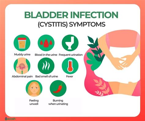 BLADDER INFECTION (CYSTITIS) - Symptoms, Causes and Natural Remedies ...