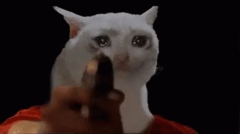 Gun Tears GIF - Gun Tears Cat - Discover & Share GIFs