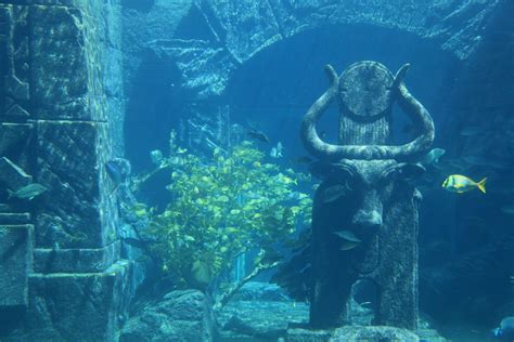 lost city of atlantis - Google Search | Underwater city, Lost city of ...