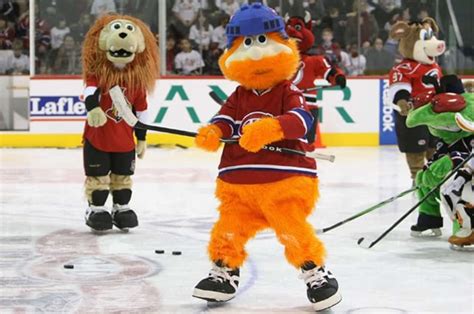 Boston Bruins vs. Montreal Canadiens: Mascot Showdown! - TheHockeyNews