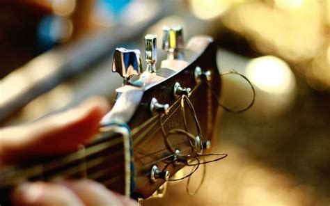 The 10 Best Acoustic Guitar Tuning Pegs Reviews - ProMusicianLab