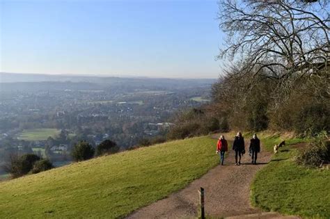 23 free things to do at Christmas time in Surrey including winter walks ...