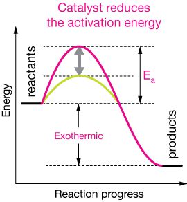 Catalysis