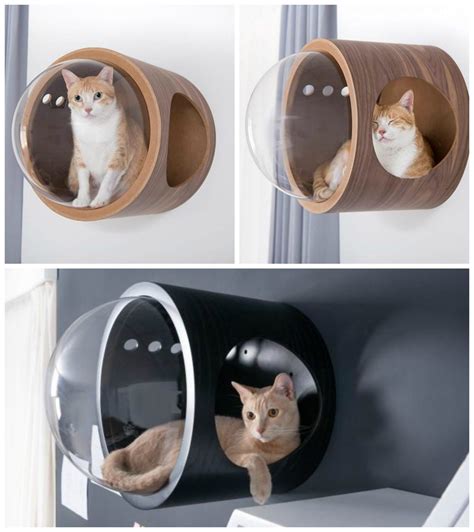 Your Cat Needs This Wall-Mounted Bed - Kitchen Fun With My 3 Sons