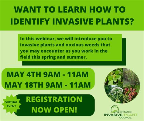 WANT-TO-LEARN-HOW-TO-IDENTIFY-INVASIVE-PLANTS - Ontario Invasive Plant ...