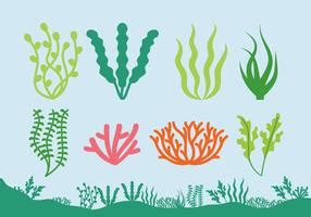 Sea Grass Vector Art, Icons, and Graphics for Free Download