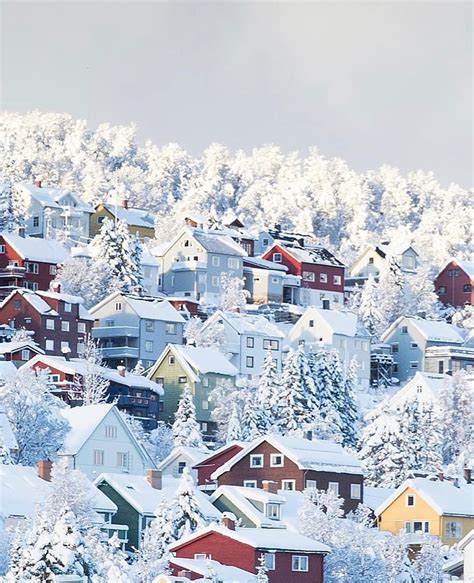 My Norway on Instagram: “Tromsø covered in snow ️ Photo by @jomar79 # ...