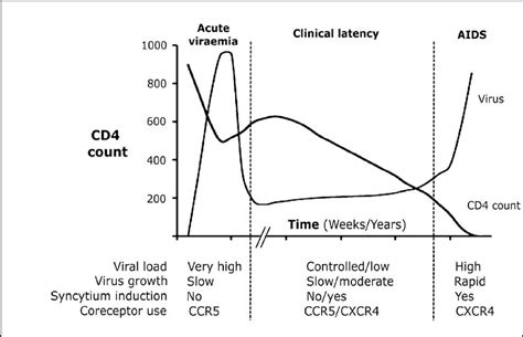 Viral pathogenesis depends on the stage of the viral infection. Viral ...