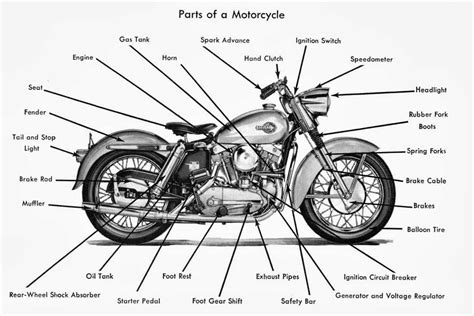 English Vocabulary: Vehicle Parts and Accessories - ESLBUZZ