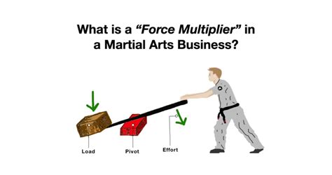 What Is A Force Multiplier In A Martial Arts Business?