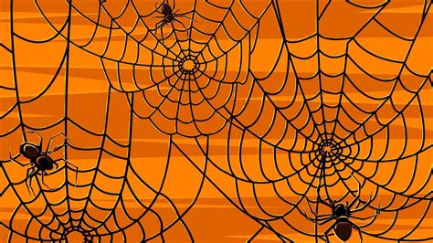 Halloween Spider Phone Wallpapers - Top Free Halloween Spider Phone ...