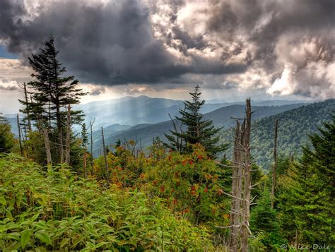 Mike's Photographs : Clingmans Dome