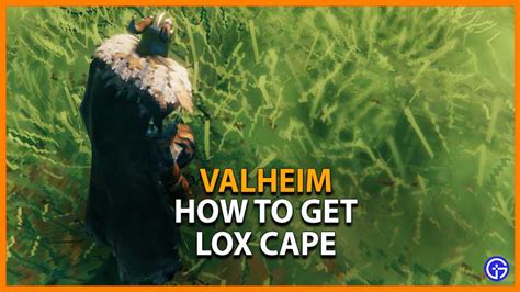 Valheim: How To Craft Lox Cape By Visiting Plains Biome