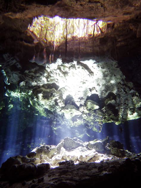 The Fun: cenote cave diving