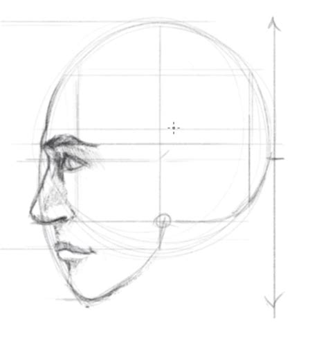 How To Draw Face In Profile - Thoughtit20