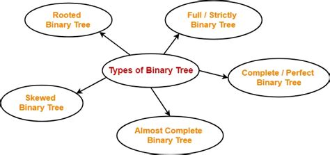 Binary Tree | Binary Tree Properties | Gate Vidyalay