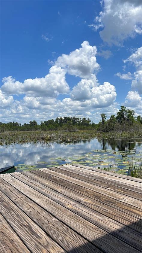 Okefenokee Swamp Platform Camping - La Vie Zine