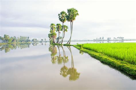 Quantifying carbon dioxide and methane efflux in the Mekong Delta in ...