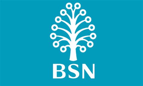 BSN disrupted banking system under re-mediation