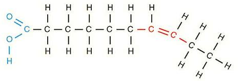 Chemical Structure Of Unsaturated Fatty Acid