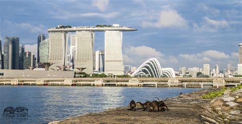 Singapore — Biophilic Cities