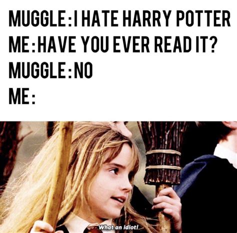 Muggles... : r/HarryPotterMemes