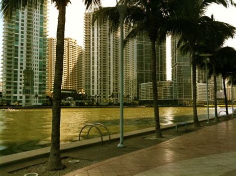 10 Things To Do In Downtown Miami: A Self-Guided Tour | Downtown miami ...